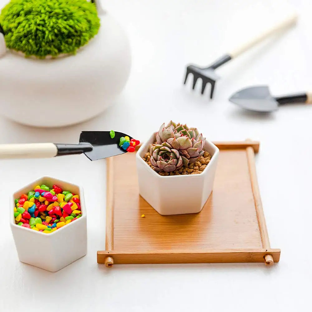 Zestaw 3 narzędzi ogrodowych